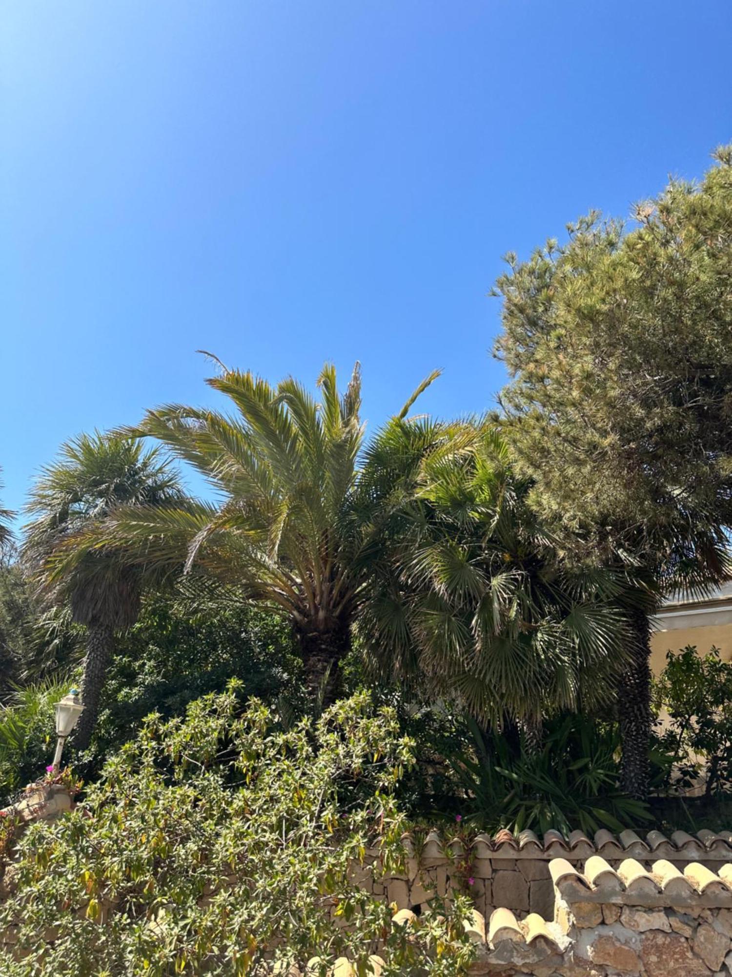 Appartement Relax Casa Costa Blanka à Santa Pola Extérieur photo